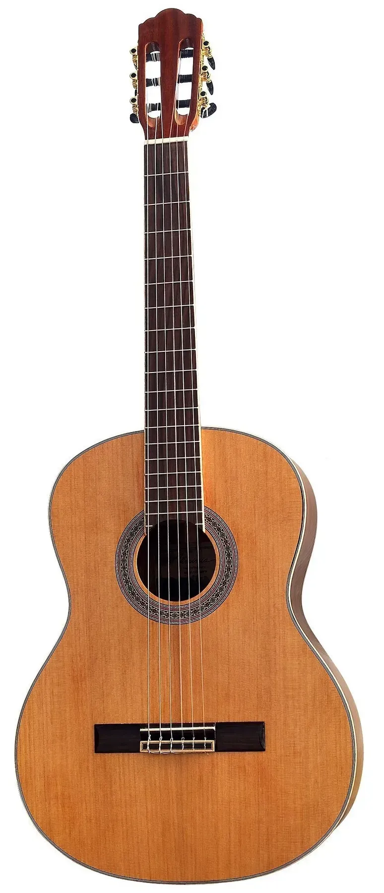 Класична гітара Virginia CC-120 0