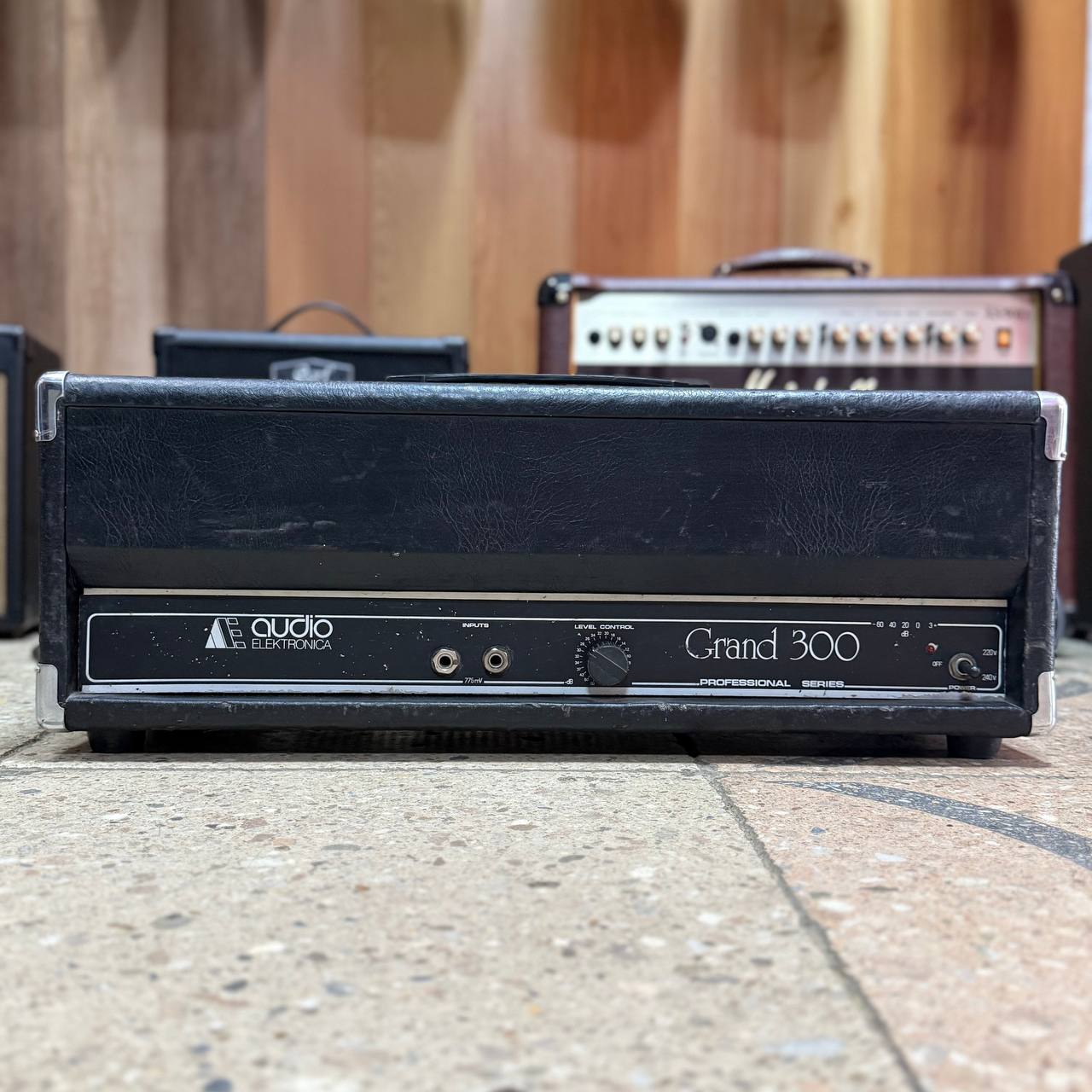 Ламповий моноблок Audio Elektronika Grand 300 Вт / 8 Ом 0