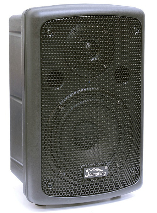 Активна акустична система SOUNDKING FP208A 0