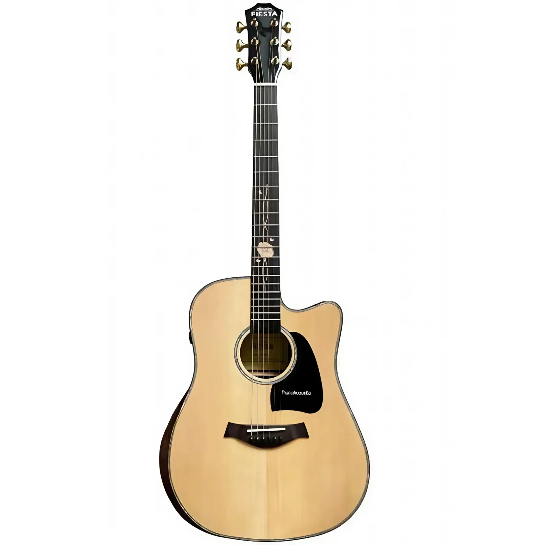 Трансакустична гітара Fiesta SPACE TransAcoustic 0