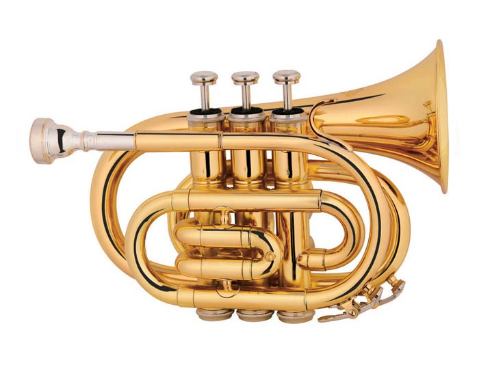 Міні труба Сі-бемоль MAXTONE TT MINI 53L 0